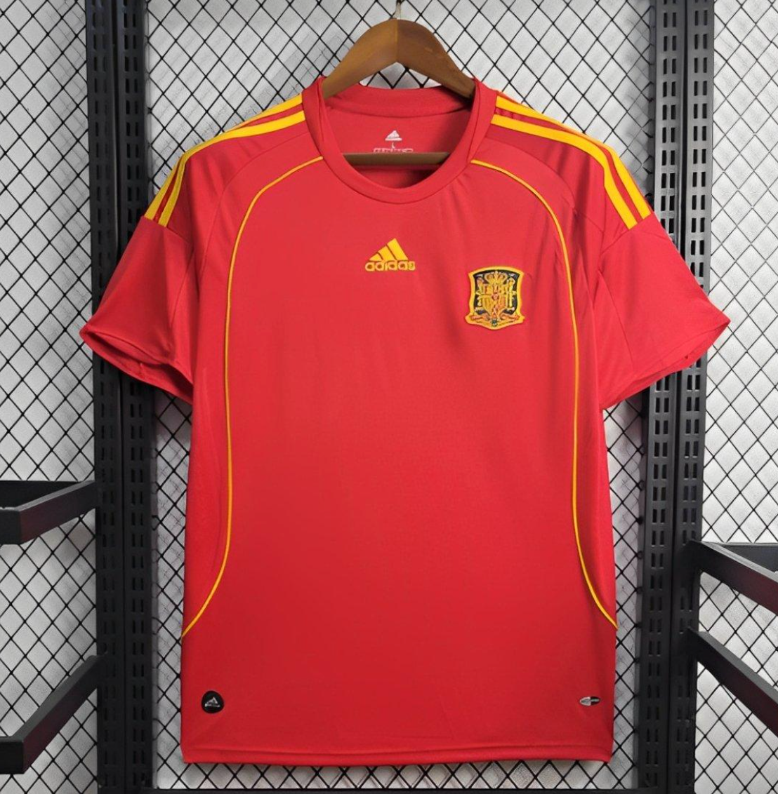 2010 Spain Home