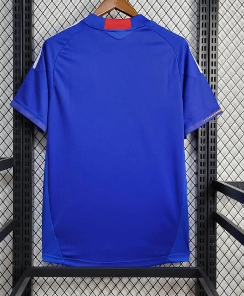 2010 Japan Home