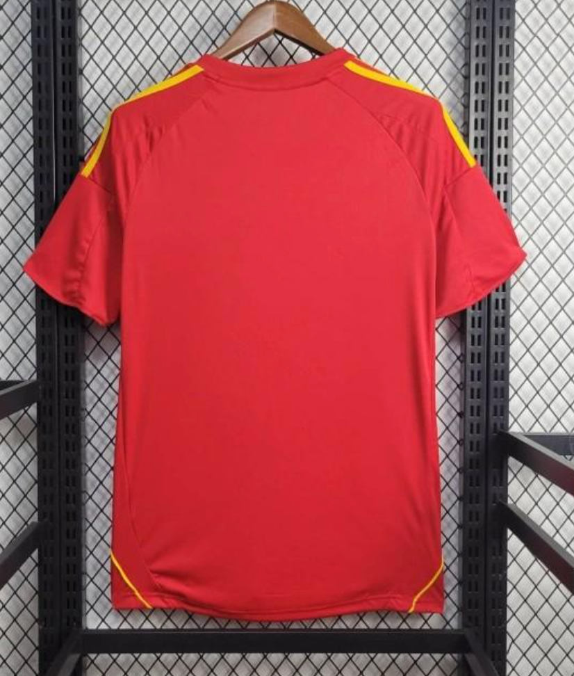 2010 Spain Home