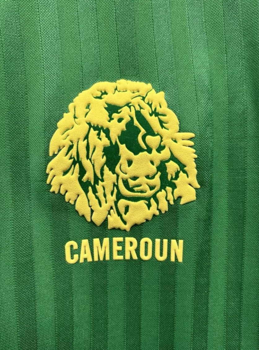 1990 Cameroun Home
