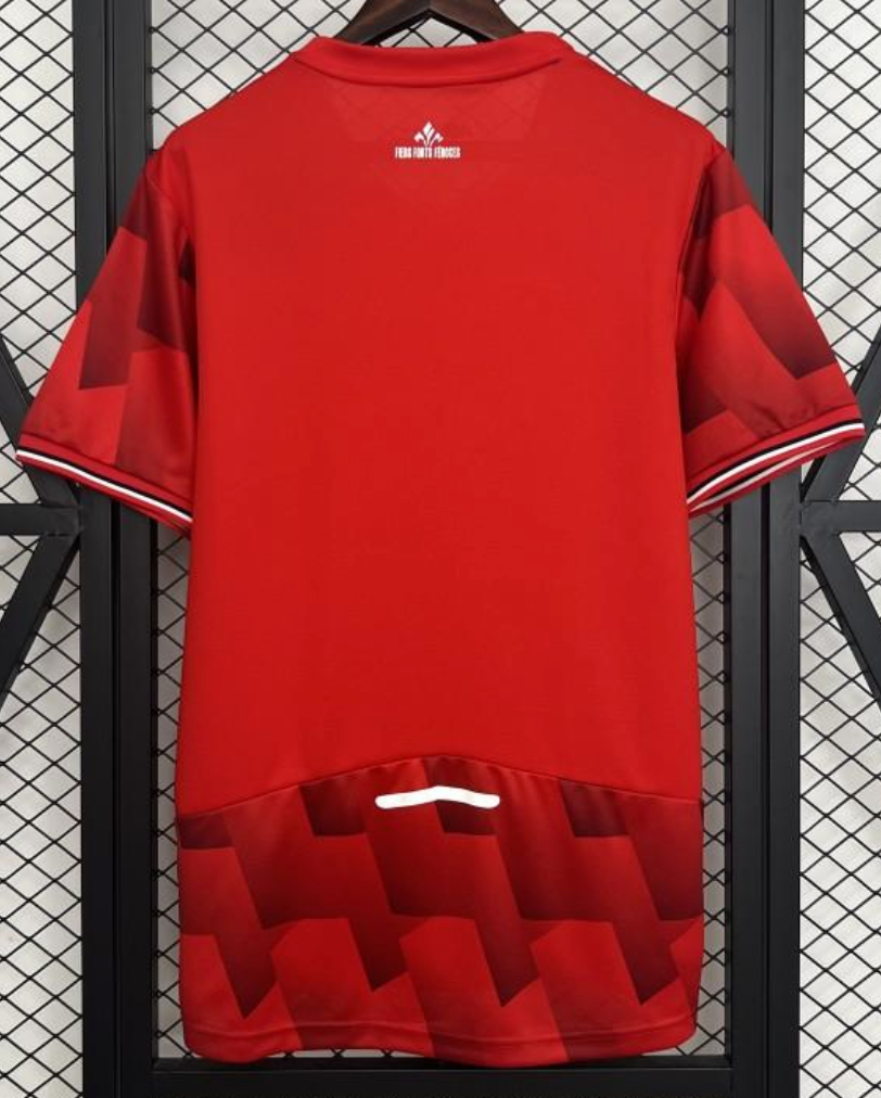 25/26 Lille Home