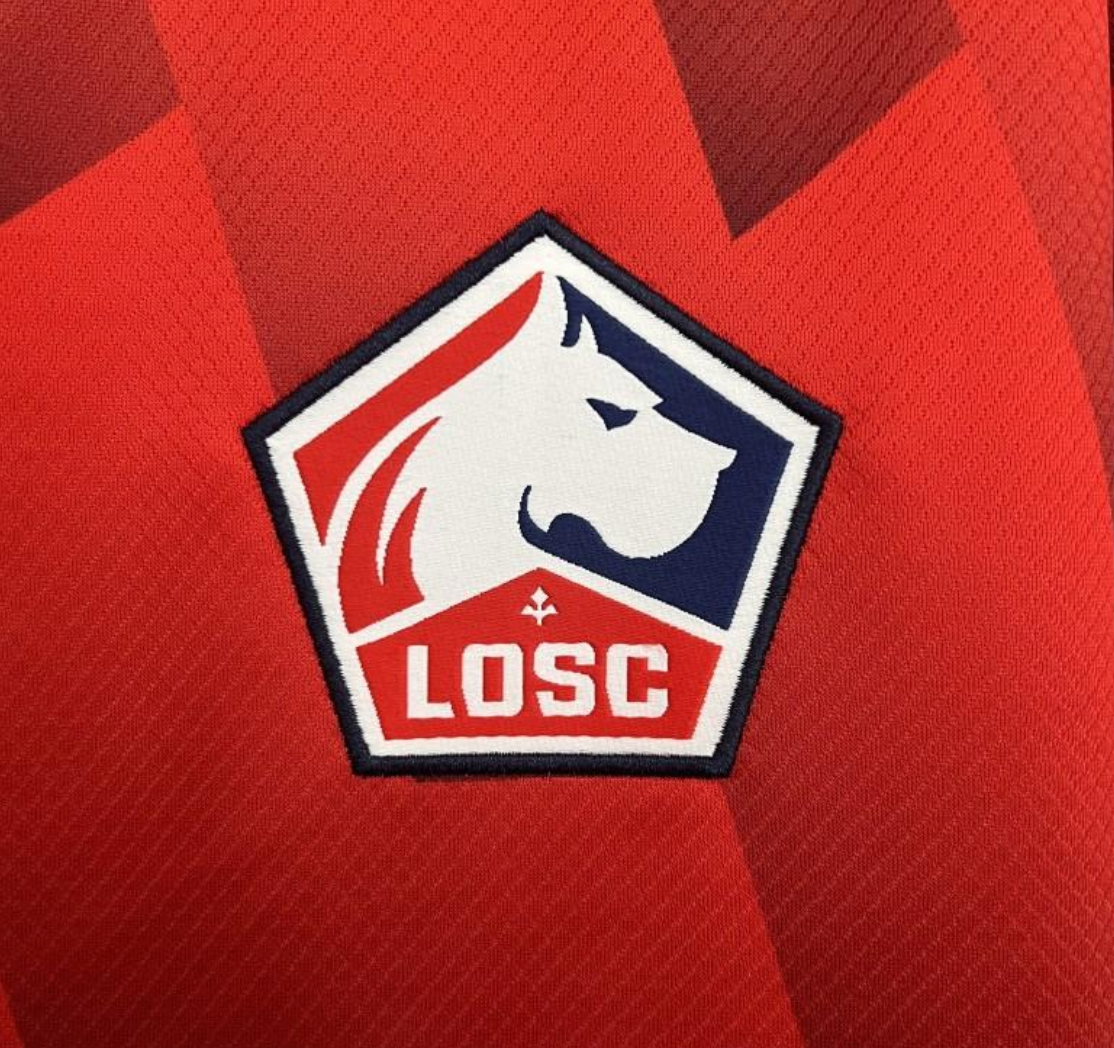 25/26 Lille Home