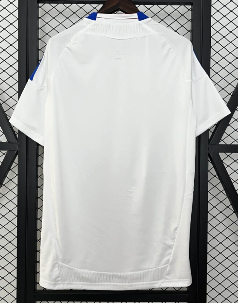 10/11 Lyon Home
