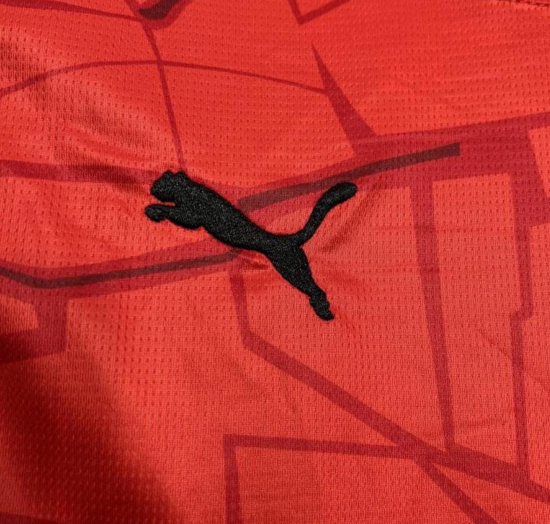 24/25 Stade Rennais Home