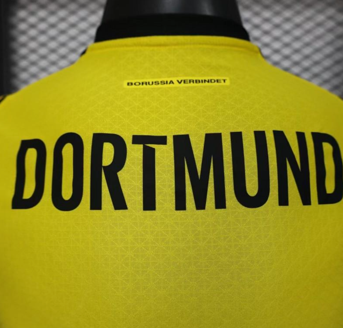 Player Version 25/26 Borussia Dortmund Home