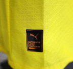 Player Version 25/26 Borussia Dortmund Home