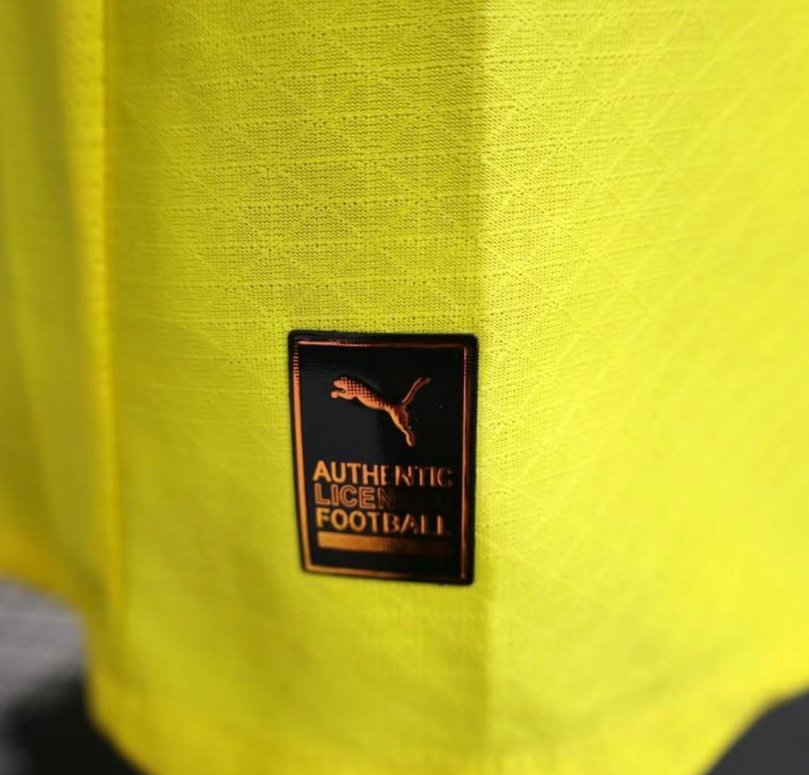 Player Version 25/26 Borussia Dortmund Home
