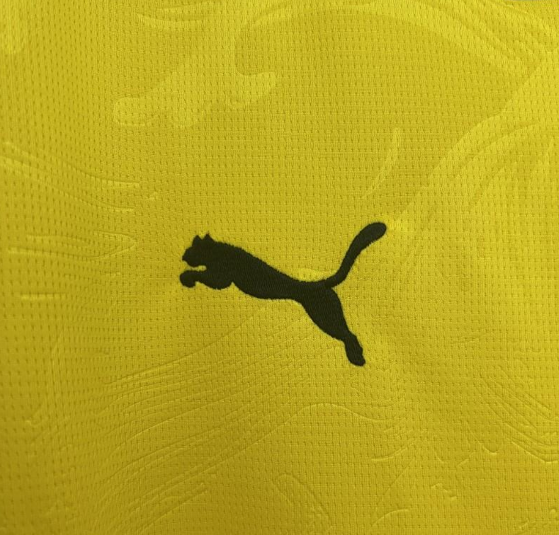 25/26 Borussia Dortmund Yellow Special