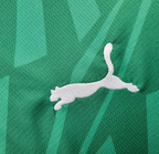 24/25 Borussia Monchengladbach Away Green