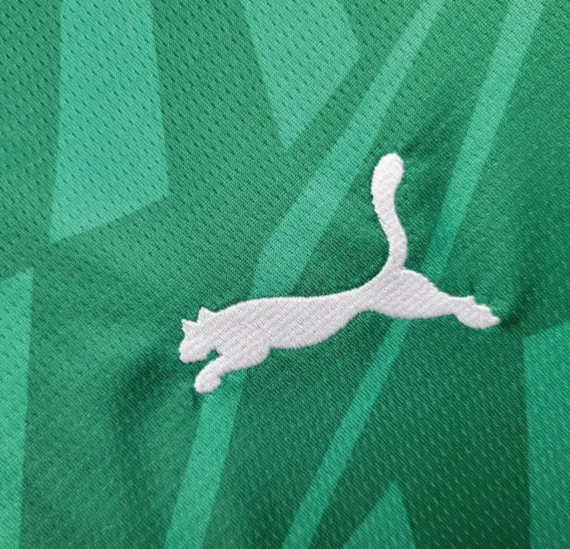 24/25 Borussia Monchengladbach Away Green