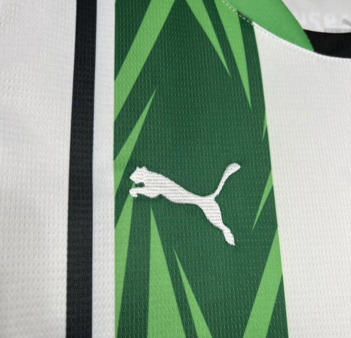 24/25 Borussia Monchengladbach Home Green