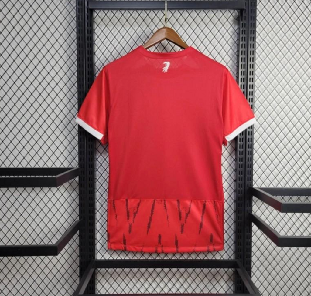 24/25 SC Freiburg Home