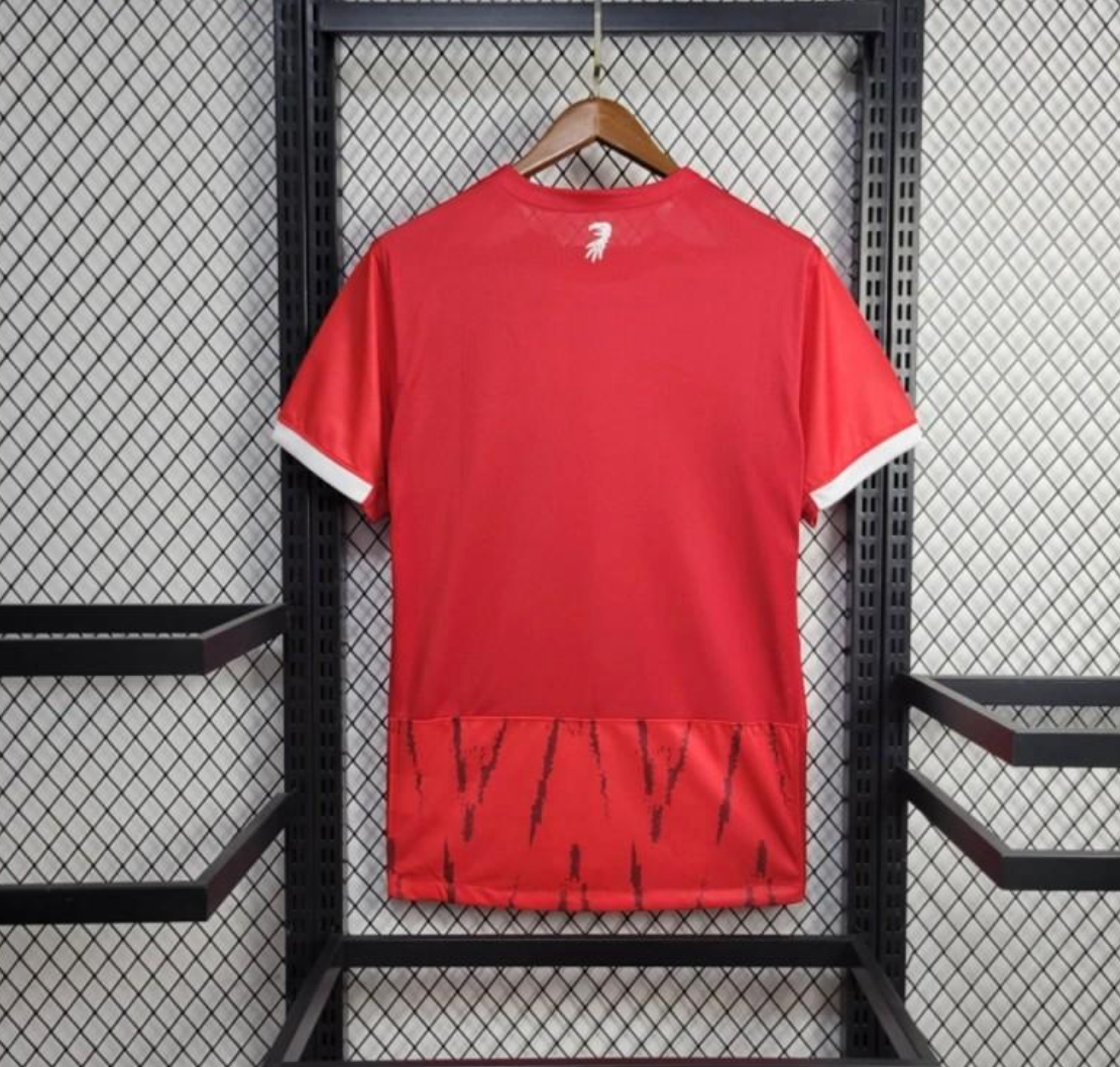 24/25 SC Freiburg Home