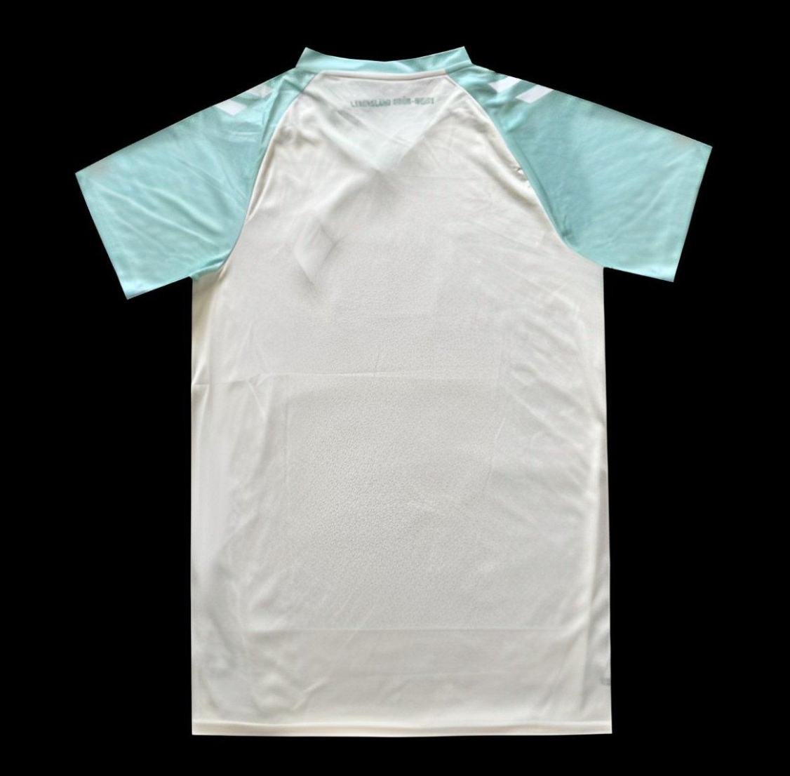24/25 Werder Bremen Away White