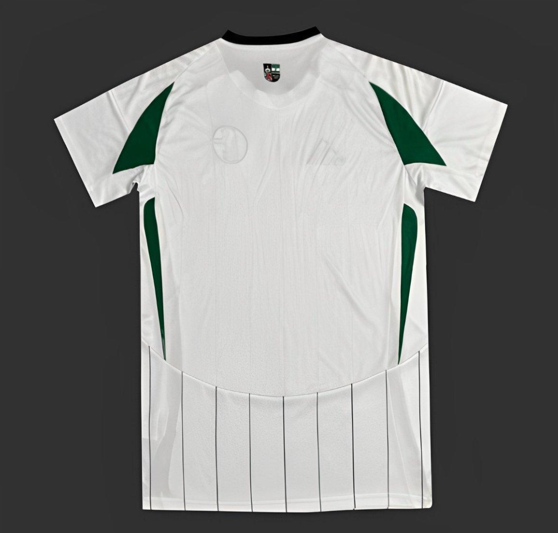 24/25 Schalke 04 Away