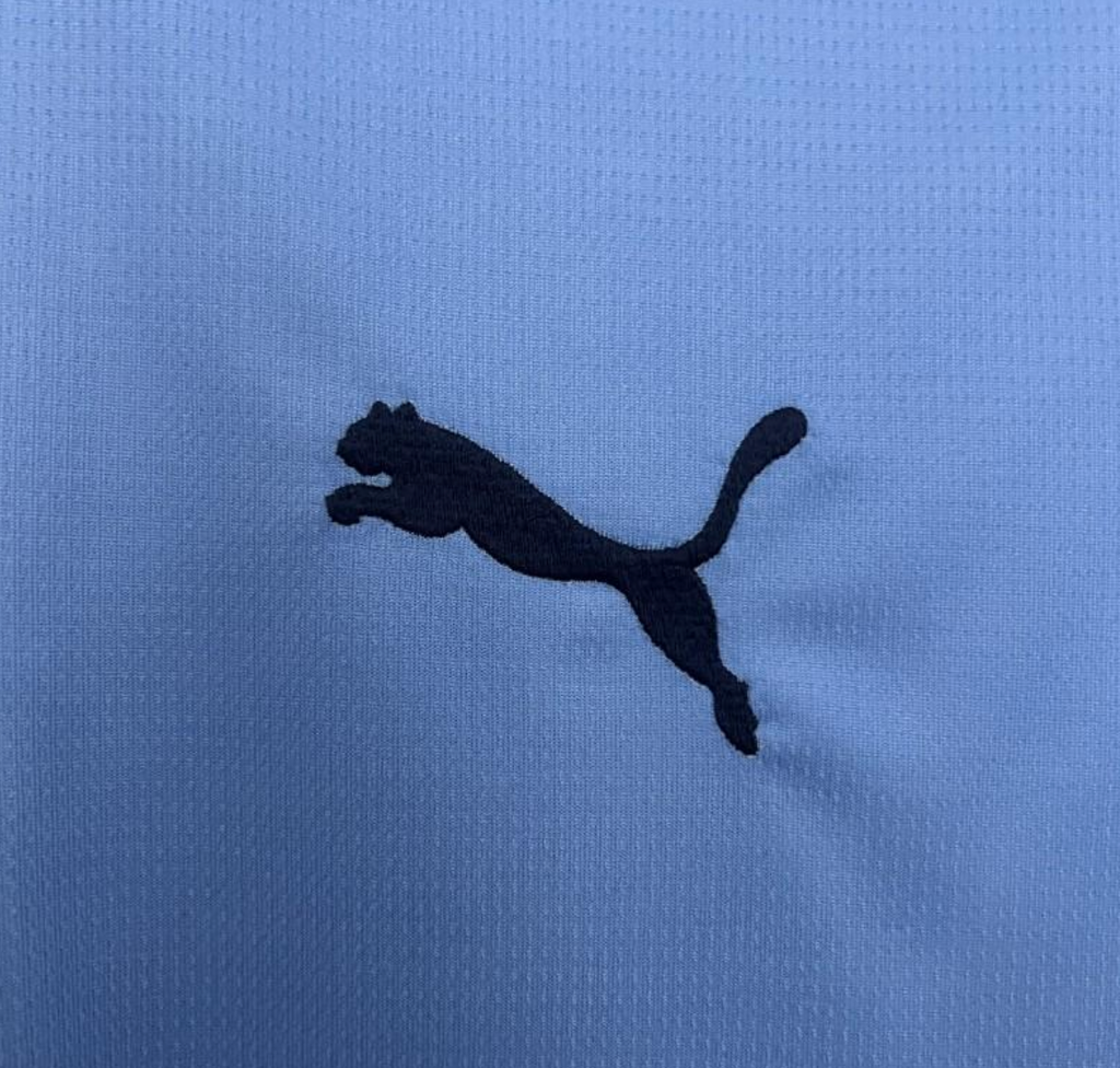 25/26 Manchester City Home