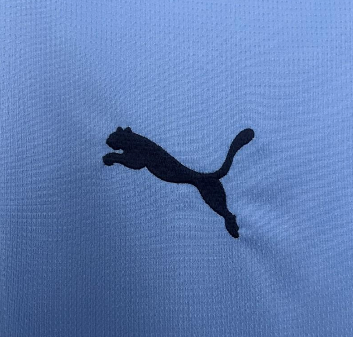 25/26 Manchester City Home