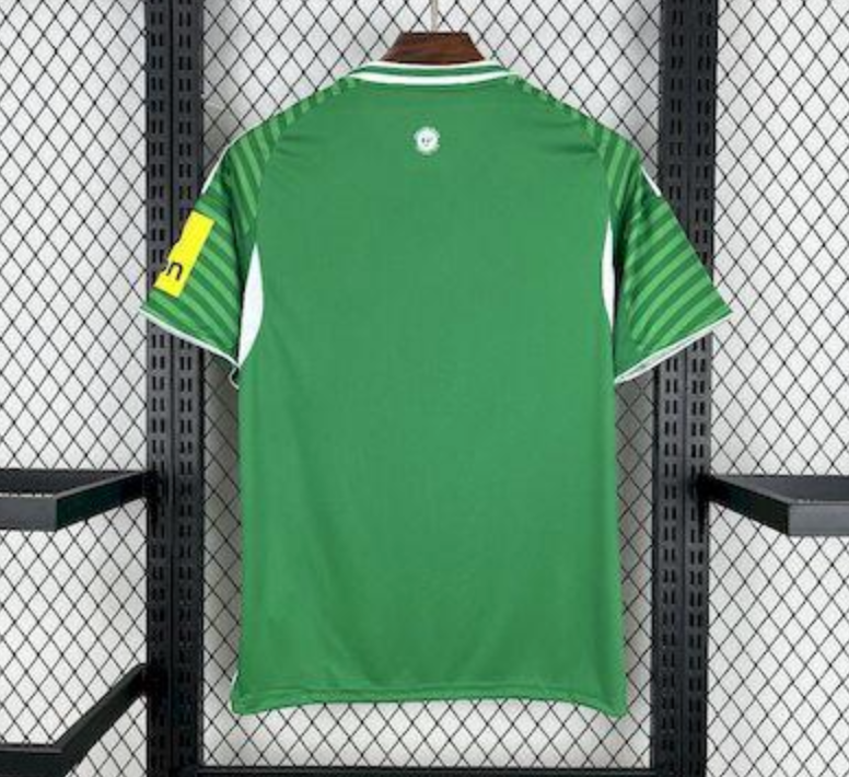 2025/26 Newcastle United Away