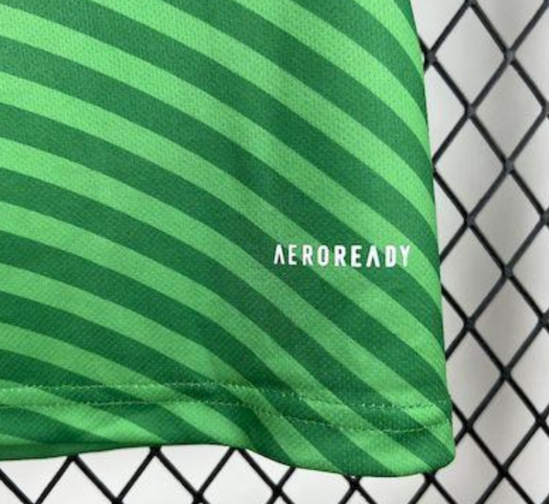 2025/26 Newcastle United Away