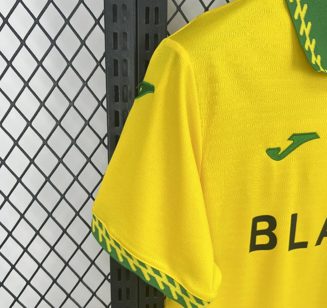 2025/26 Norwich City FC Home