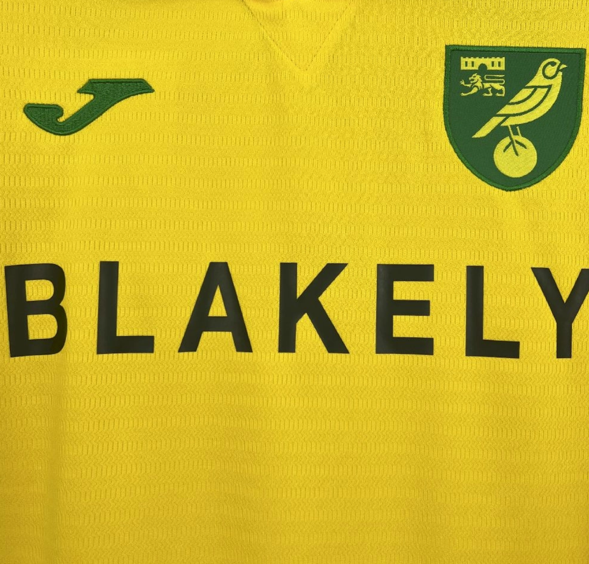 2025/26 Norwich City FC Home