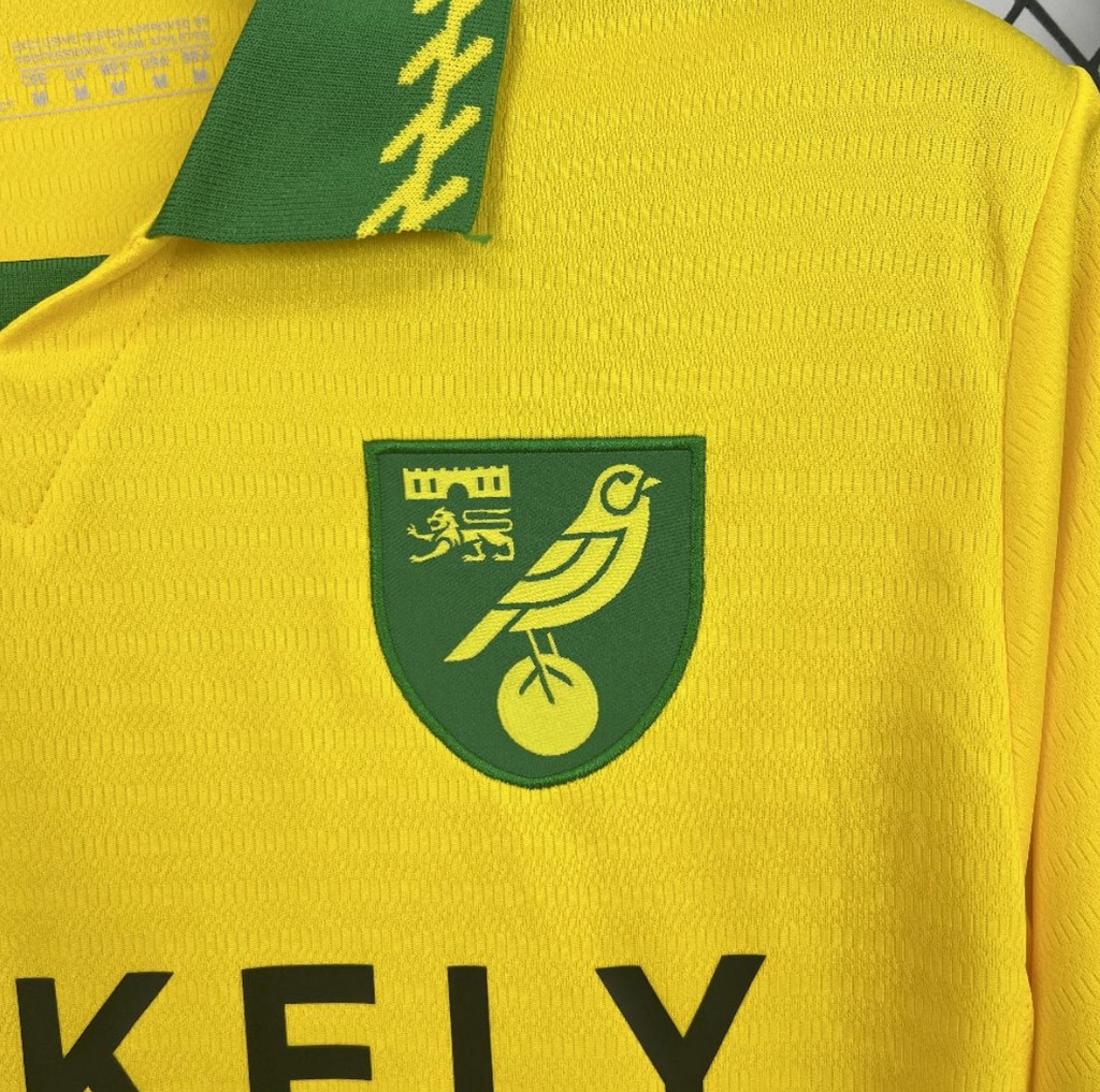 2025/26 Norwich City FC Home