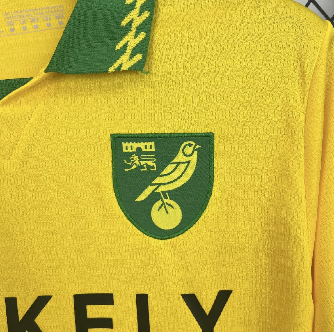 2025/26 Norwich City FC Home