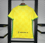 24/25 Norwich City F.C. Home