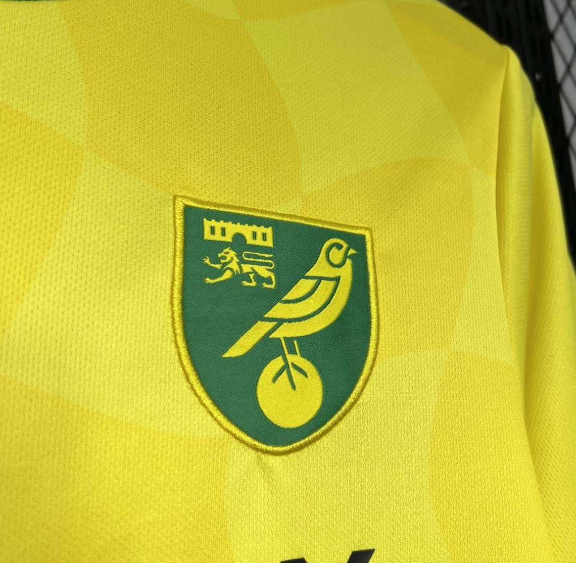 24/25 Norwich City F.C. Home